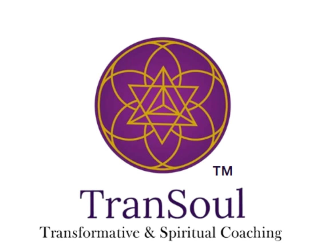 Corporate Training at TranSoul Logo